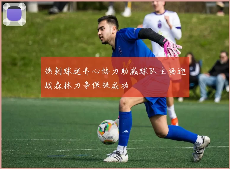 热刺球迷齐心协力助威球队主场迎战森林力争保级成功