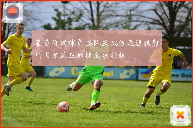 霍芬海姆球员接队友挑传迅速抽射科贝尔反应敏捷成功扑救